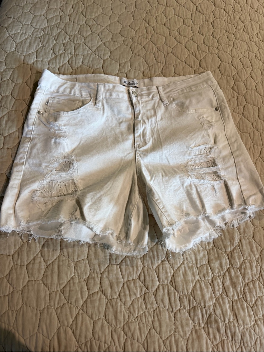 Judy Blue White Distressed Denim Shorts with Frayed Hem
